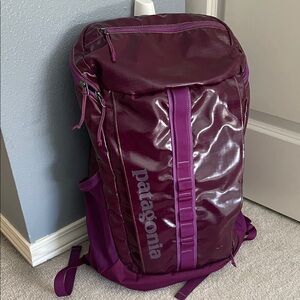 Patagonia Waterproof Purple Backpack
